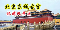 小骚穴被大鸡巴来回抽插的视频中国北京-东城古宫旅游风景区